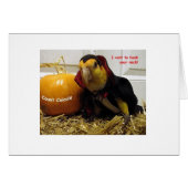 Count Caicula (Front Horizontal)