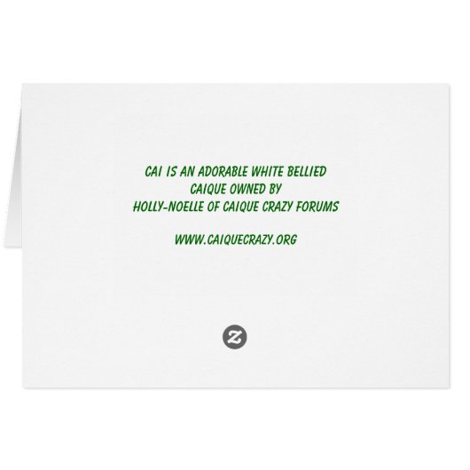 Count Caicula Cards (Back Horizontal)