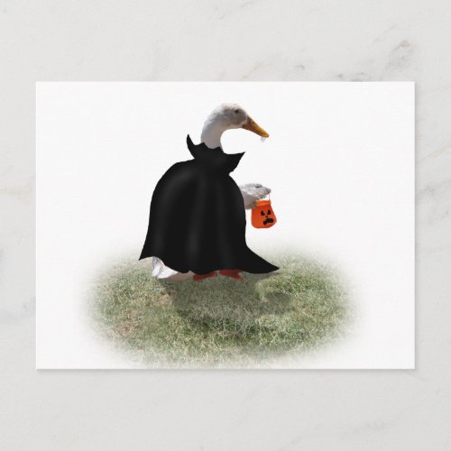 Count Duckula is on his way Postcard