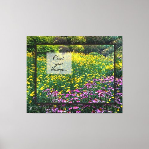 Count Your Blessings Daisies Canvas Print
