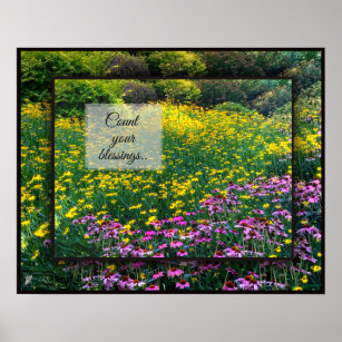 Count Your Blessings Daisies Poster