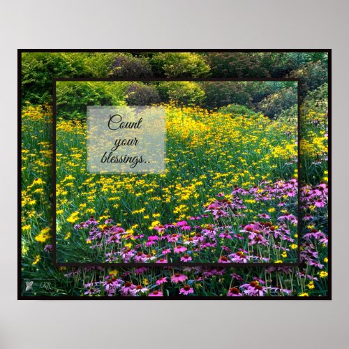 Count Your Blessings Daisies Poster