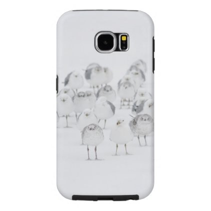 Count your Chickens Samsung Galaxy S6 Case