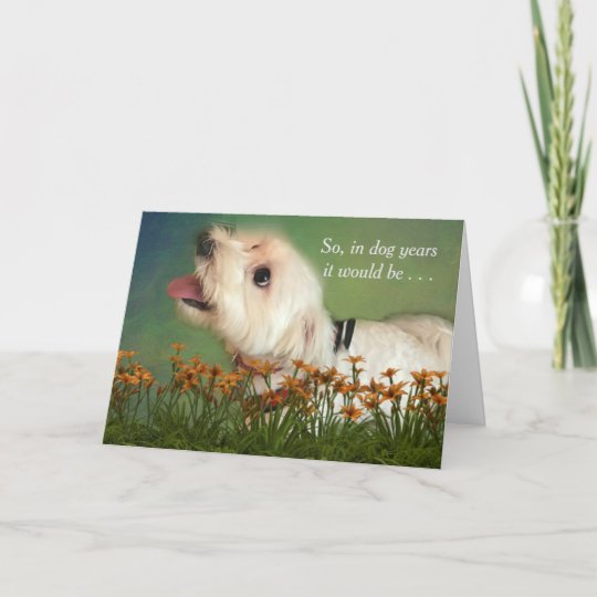 how do you count dog years