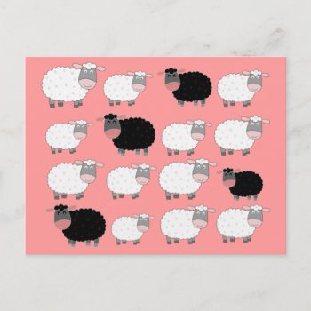 Counting Sheep Postcard by mail_me at Zazzle