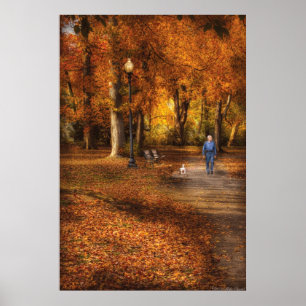 Country - A walk in the park Poster