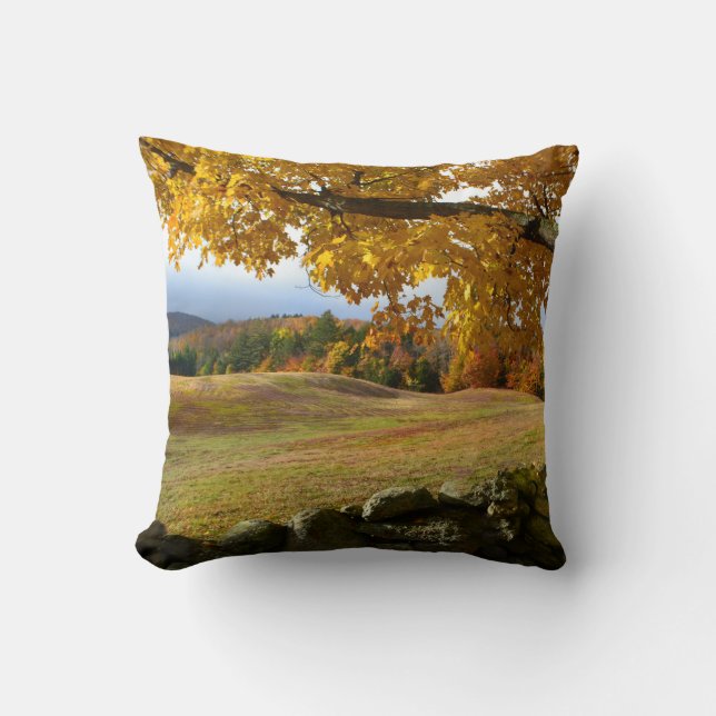 Country Autumn Pillow (Front)
