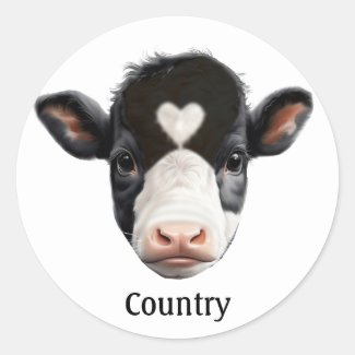 Country Black and White Cow Face