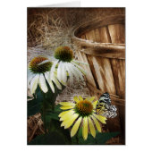 Country Butterfly (Front)