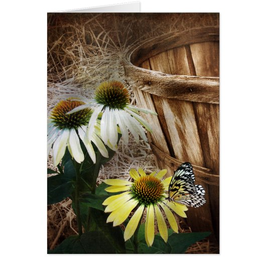 Country Butterfly Cards (Front)