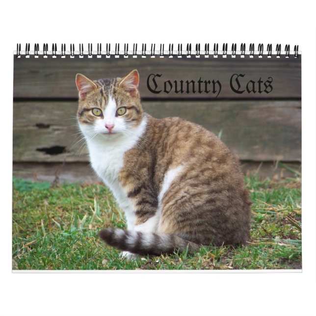 Country Cats Calendar (Cover)