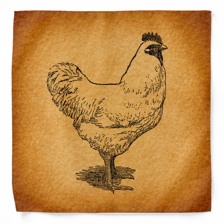 Country Chicken Farm Animal Art Vintage Rooster Bandana | Zazzle