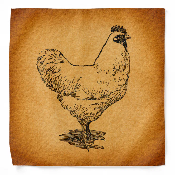 Country Chicken Farm Animal Art Vintage Rooster Bandana | Zazzle Country Chicken Farm Animal Art Vintage Rooster Bandana | Zazzle