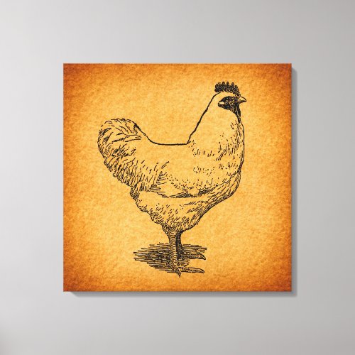 Country Chicken Farm Animal Art Vintage Rooster Canvas Print