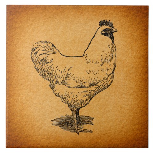 Country Chicken Farm Animal Art Vintage Rooster Ceramic Tile