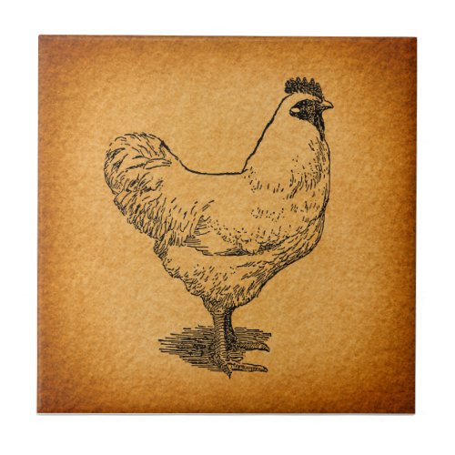 Country Chicken Farm Animal Art Vintage Rooster Ceramic Tile