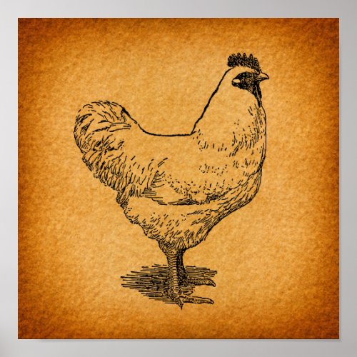Country Chicken Farm Animal Art Vintage Rooster Poster