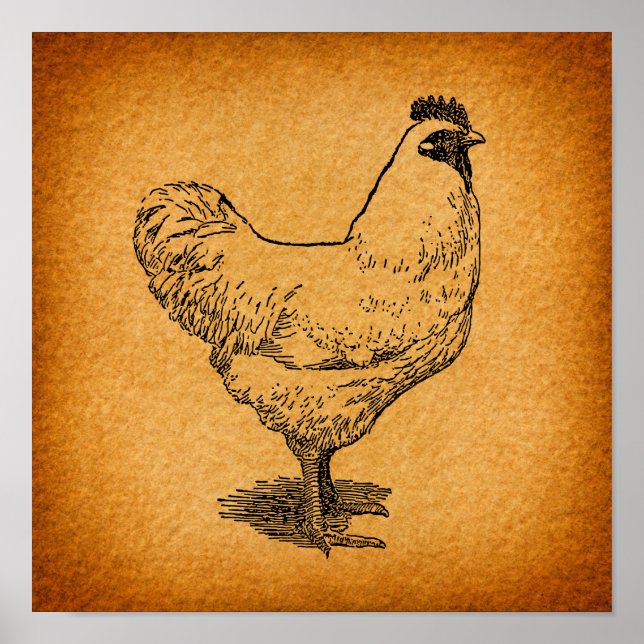 Country Chicken Farm Animal Art Vintage Rooster Poster (Front)