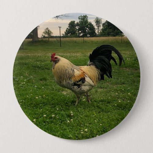 Country Chicken On the Farm Photo Button