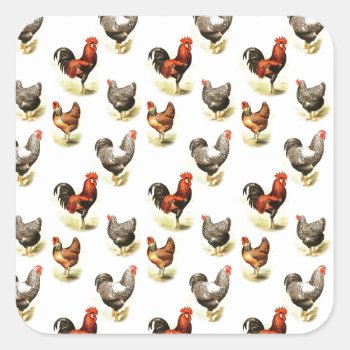 Country Chicken Pattern Square Sticker by DoodlesGiftShop at Zazzle