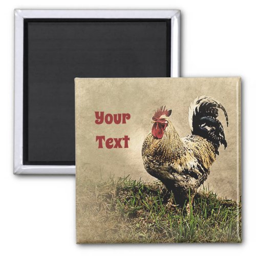 Country Chicken Rooster Magnet