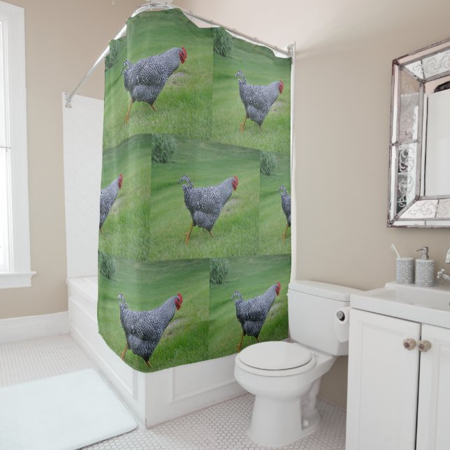 Country Chicken Shower Curtain (In Situ)