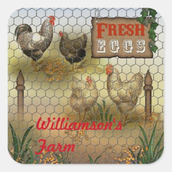 Country Chickens Farm Fresh Eggs Name Square Sticker by TrendyKitchens at Zazzle