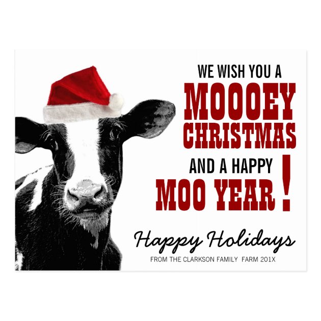 Country Christmas Santa Cow Postcard