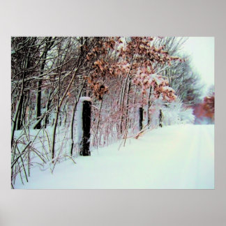 Country Cold Poster