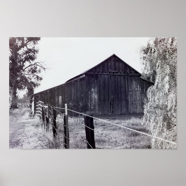 Country Collection - Standing Alone Poster (Front)