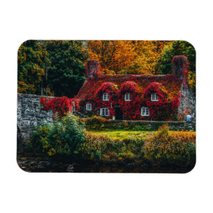Country Cottage with Red Vines Covering Home Magnet