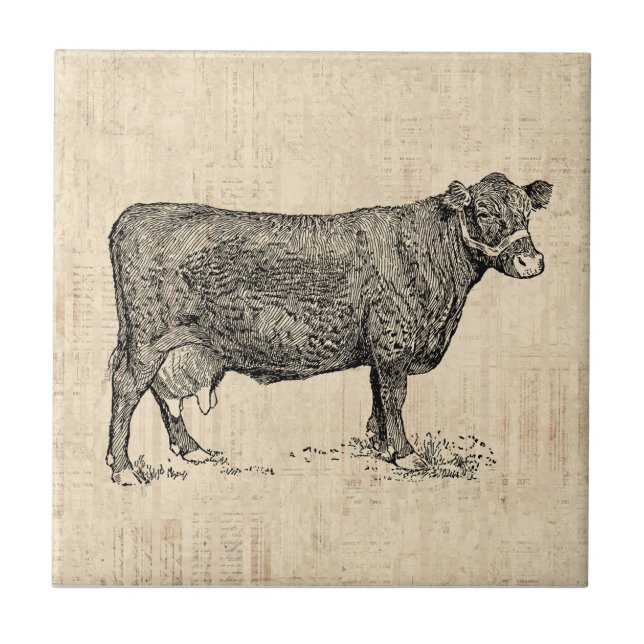 Country Cow Illustrated Art Ceramic Tile (Front)