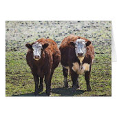 Country Cow Note Card (Front Horizontal)
