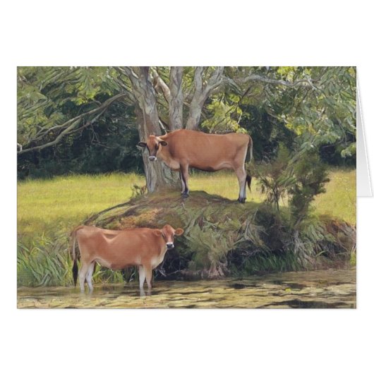 Country Cows Staying Cool Cards (Front Horizontal)