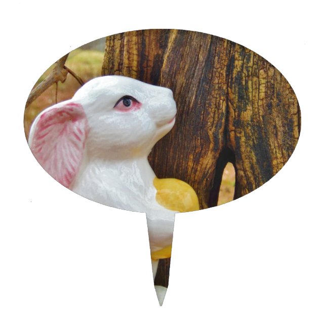 Country Easter Bunny Cake Topper (Front)