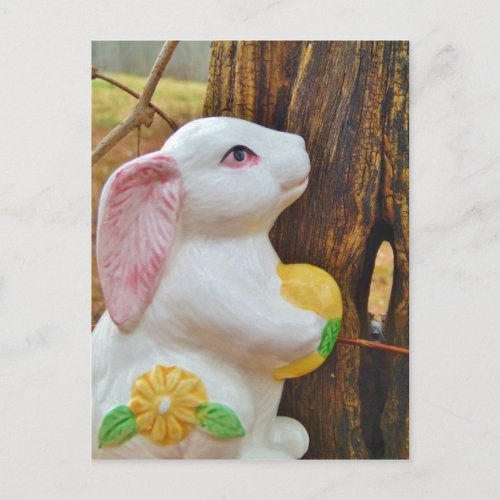 Country Easter Bunny Holiday Postcard