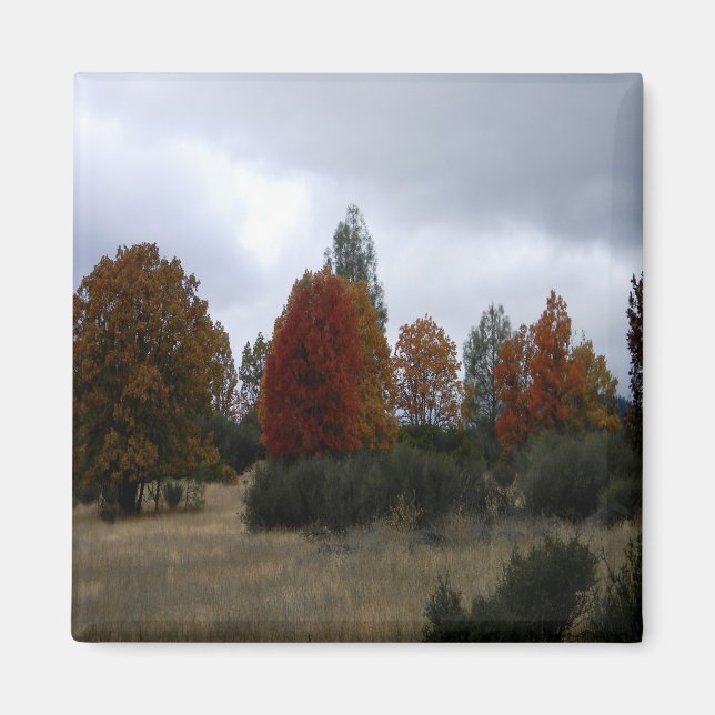 Country Fall colors..... Magnet (Front)