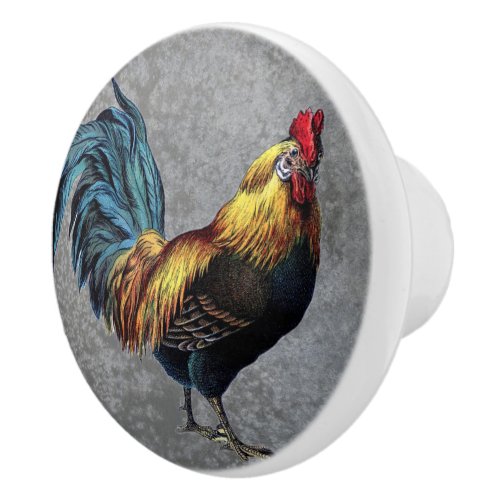 Country Farm Rooster On Gray Background Ceramic Knob