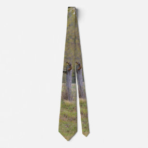 Country Fence and A Squirrel Neck Tie
