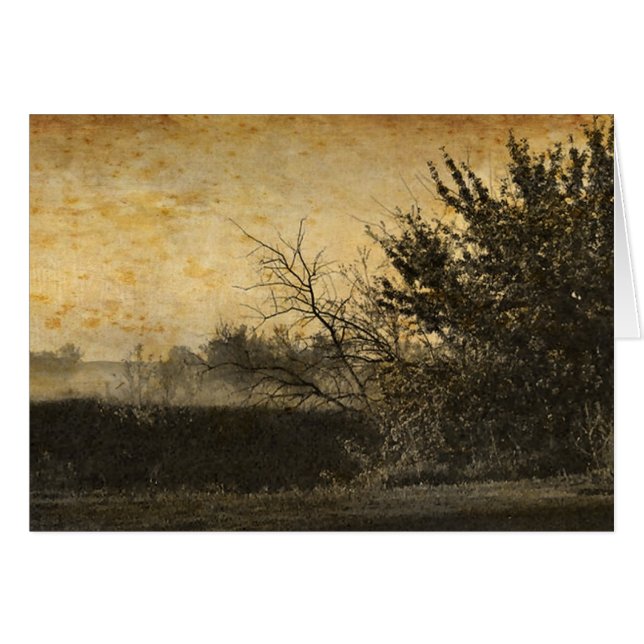 Country Field landscape Rustic Winter Trees Cards (Front Horizontal)