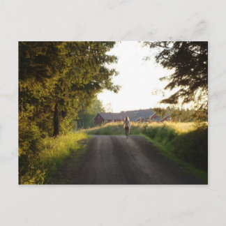 Country Girl Postcard