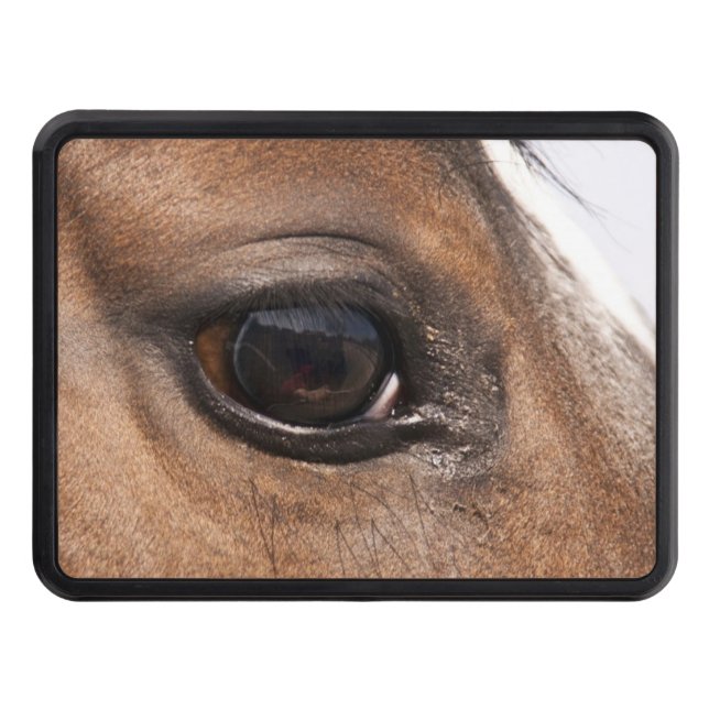 country horses eye Trailer Hitch Cover (Front)