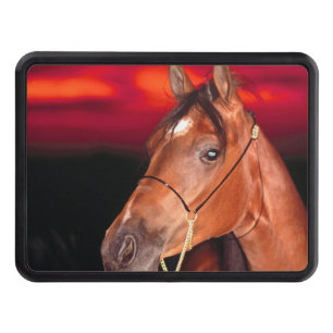 country horses eye Trailer Hitch Cover