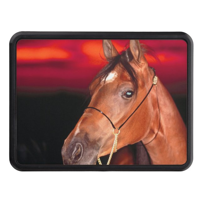 country horses eye Trailer Hitch Cover (Front)