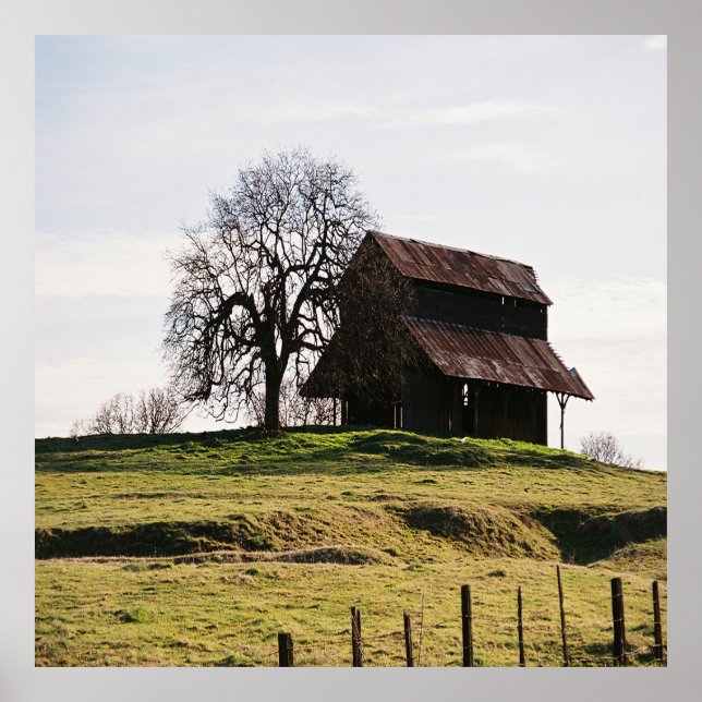 Country in the Fall...... Poster (Front)