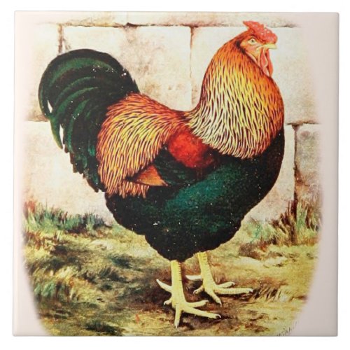 Country Kitchen Decorative Wall Tile Fancy Rooster