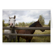 COUNTRY LANDSCAPES (Front Horizontal)