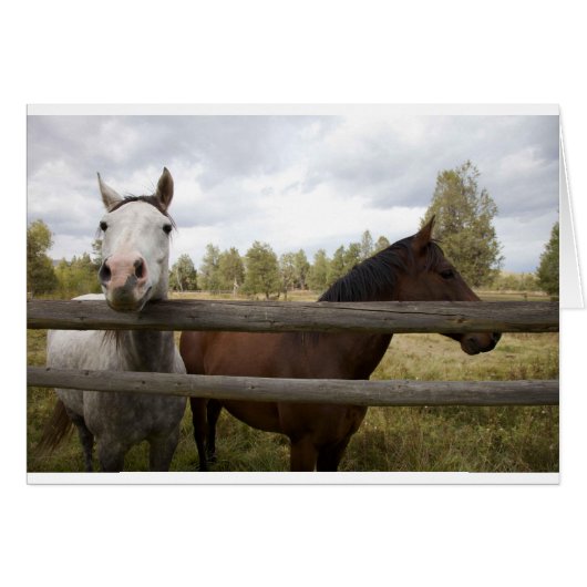 COUNTRY LANDSCAPES CARDS (Front Horizontal)