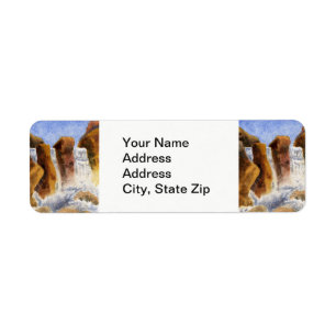 Country landscapes river waterfalls rapids rocks.. label