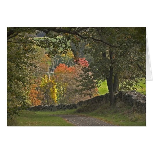 Country Lane Cards (Front Horizontal)